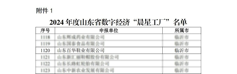 關于公布2024年度山東省數(shù)字經濟“晨星工廠”名單的通知_02