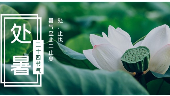 處暑已至，秋意漸濃，百華勞保鞋護您步步生風迎金秋
