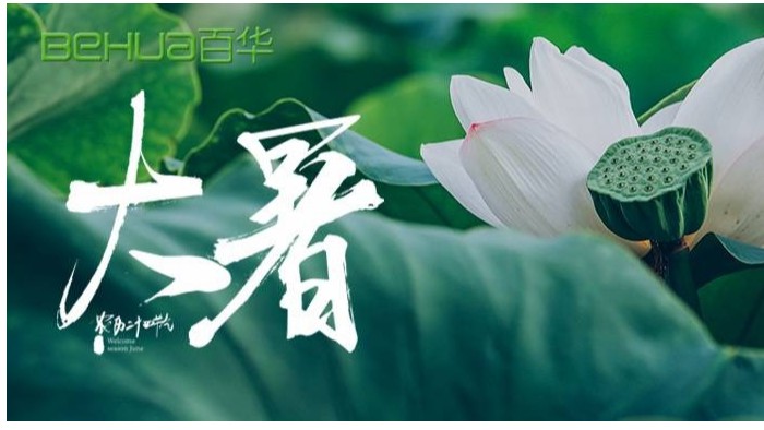大暑|蟬聲嘹亮，夏意正濃